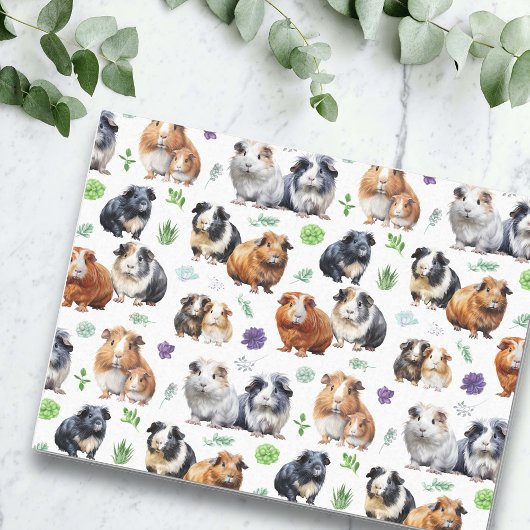 Guinea Schweine und Sukkulturen Seidenpapier