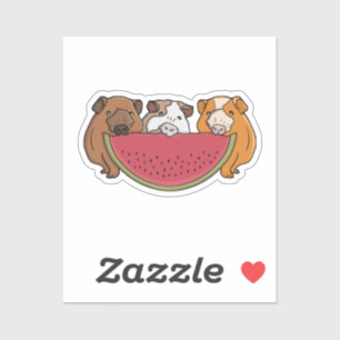 Guinea Schweine und Wassermelone Illustration Aufkleber