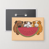 Guinea Schweine und Wassermelone Illustration Button (Vorderseite/Rückseite)