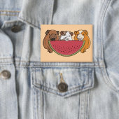 Guinea Schweine und Wassermelone Illustration Button (Insitu)