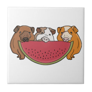Guinea Schweine und Wassermelone Illustration Fliese