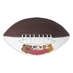 Guinea Schweine und Wassermelone Illustration Football