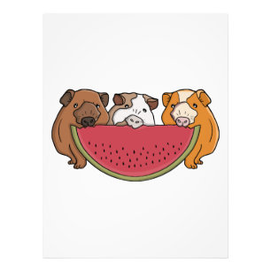 Guinea Schweine und Wassermelone Illustration Fotodruck