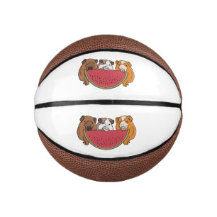 Guinea Schweine und Wassermelone Illustration Mini Basketball