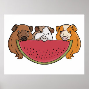 Guinea Schweine und Wassermelone Illustration Poster