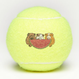Guinea Schweine und Wassermelone Illustration Tennisbälle