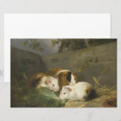 Guinea Schweine (von George Morland) Briefpapier (Vorne/Hinten)