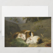 Guinea Schweine (von George Morland) Briefpapier (Vorne/Hinten)