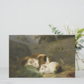 Guinea Schweine (von George Morland) Briefpapier (Stehend Vorderseite)