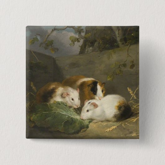 Guinea Schweine (von George Morland) Button (Vorderseite)