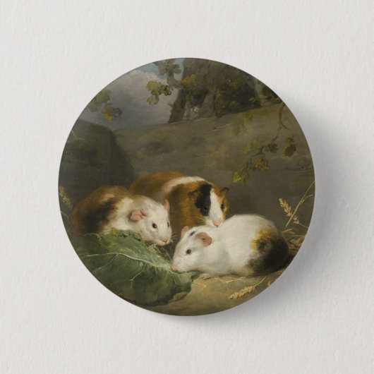 Guinea Schweine (von George Morland) Button (Vorderseite)