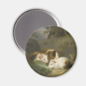 Guinea Schweine (von George Morland) Magnet (Vorderseite/Rückseite)