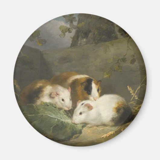 Guinea Schweine (von George Morland) Magnet (Vorne)