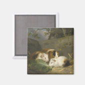 Guinea Schweine (von George Morland) Magnet (Vorderseite/Rückseite)
