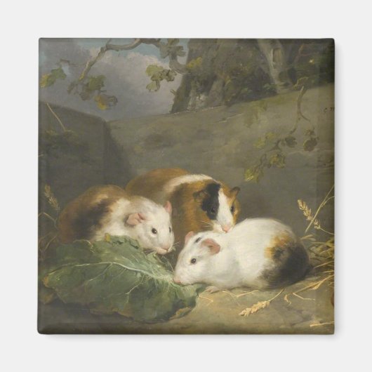 Guinea Schweine (von George Morland) Magnet (Vorne)