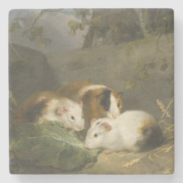 Guinea Schweine (von George Morland) Steinuntersetzer