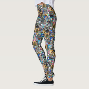 Guinea Schweinebollage, Leggings