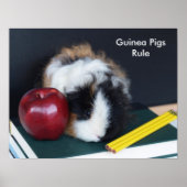 Guinea Schweinebrennposter Poster (Vorne)