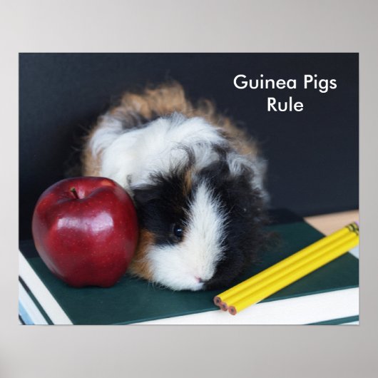 Guinea Schweinebrennposter Poster (Vorne)