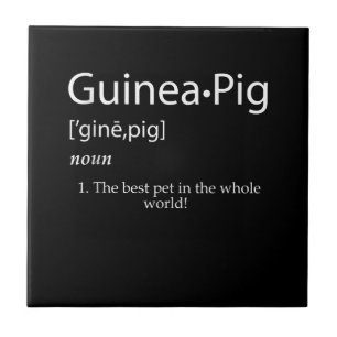 Guinea SchweineDefinition - Bestes Tier für Kinder Fliese