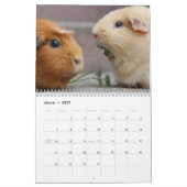 Guinea Schweinefleisch 2024 Kalender (Mär 2027)