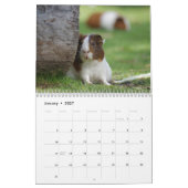 Guinea Schweinefleisch 2024 Kalender (Jan 2027)