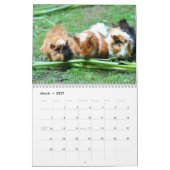 Guinea Schweinefleisch 2025 Kalender (Mär 2027)