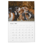 Guinea Schweinefleisch 2025 Kalender (Jan 2027)
