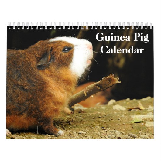 Guinea Schweinefleisch 2025 Kalender (Titelbild)