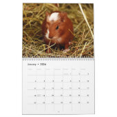 Guinea Schweinefleisch 2025 Kalender (Jan 2026)