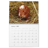 Guinea Schweinefleisch 2025 Kalender (Jan 2027)
