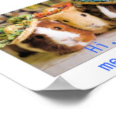 Guinea Schweinefleisch Akquaintanten Poster (Ecke)