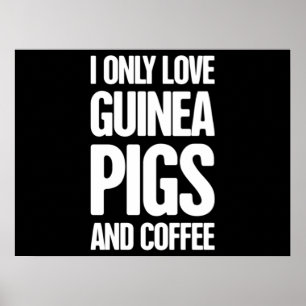 Guinea Schweinefleisch Guinea Schweinezüchter Poster