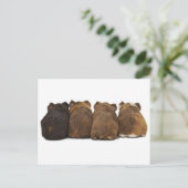 Guinea Schweinefleisch Hintern Postkarte (Stehend Vorderseite)