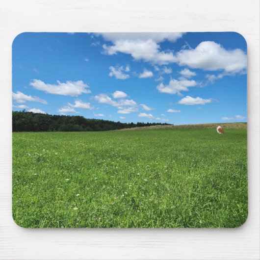 Guinea Schweinefleisch in Feldmauern Mousepad (Vorne)