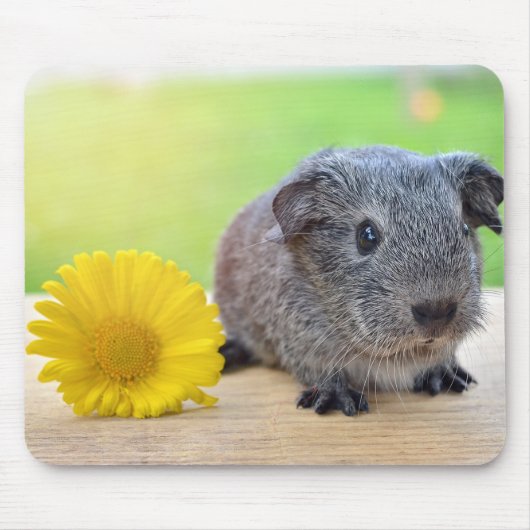 Guinea Schweinefleisch mit Blume Maus Pad Mousepad (Vorne)