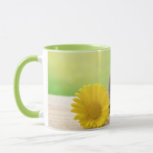 Guinea Schweinefleisch mit Blume Tasse (Links)