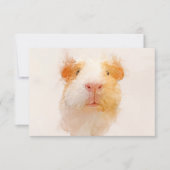 Guinea Schweinefleisch Portrait 001 Dankeskarte (Vorderseite)