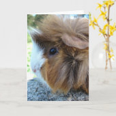Guinea Schweinefleisch Portrait Karte (Gelbe Blume)