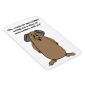 Guinea Schweinefleisch Redewendungen Magnet (Rechte Seite)