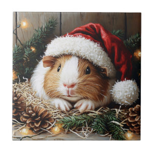 Guinea Schweinefleisch Weihnachtsmannmütze tragen Fliese