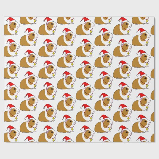 Guinea Schweinefleisch zu Weihnachten in einer Wei Geschenkpapier (Flach)