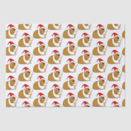 Guinea Schweinefleisch zu Weihnachten in einer Wei Seidenpapier