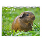 Guinea Schweinefleischkalender 2025 Kalender (Titelbild)