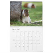 Guinea Schweinefleischkalender 2025 Kalender (Mär 2027)