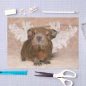 Guinea Schweinegel Seidenpapier (Handwerk)