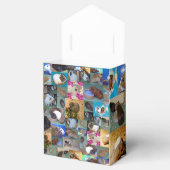 Guinea Schweinekollage, Gastgeschenk Geschenkschachtel (Geöffnet)