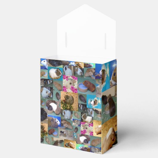 Guinea Schweinekollage, Gastgeschenk Geschenkschachtel (Geöffnet)