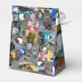 Guinea Schweinekollage, Gastgeschenk Geschenkschachtel (Rückseite)