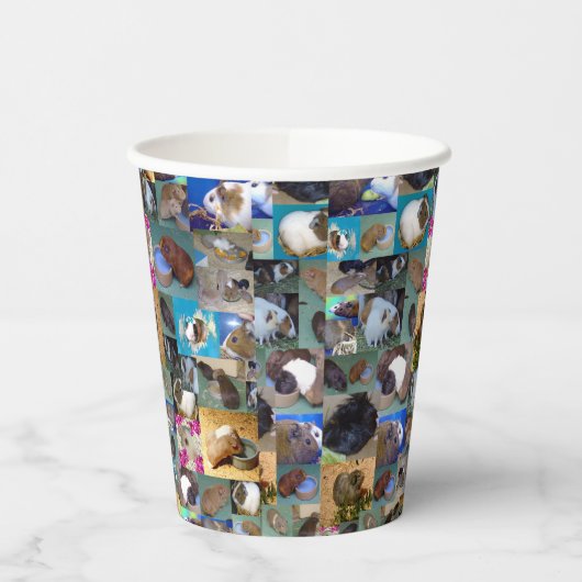 Guinea Schweinekollage, Pappbecher (Links)